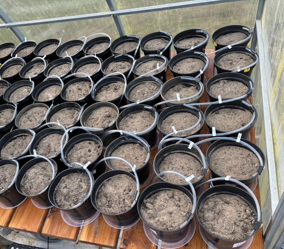 Pots with the automatic irrigation system