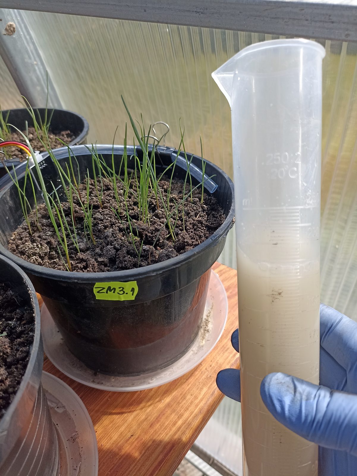 Dosing a solution into a pot