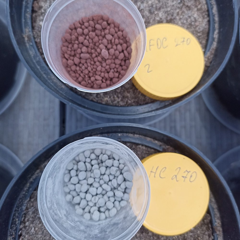Fertiliser granules made from waste